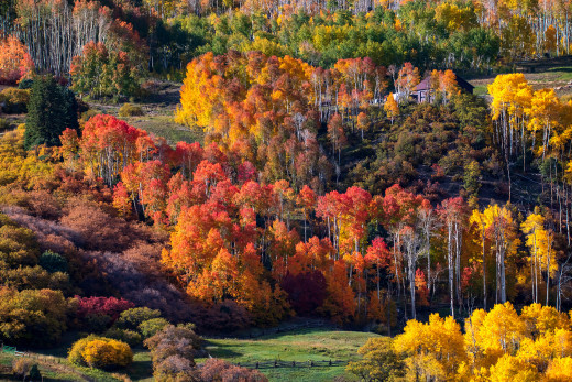 1759123 (a): :2048x1365